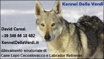 Kennel Delle Verdi Bigliettino da visita